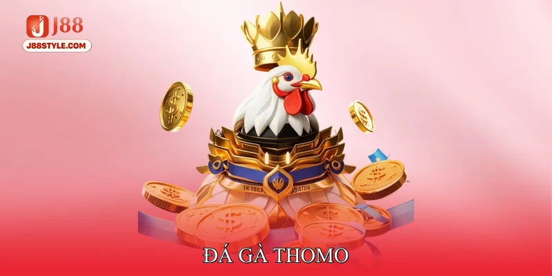 Đá Gà Thomo - Nhập Môn Các Quy Tắc Cơ Bản Cho Tân Thủ Đá gà Thomo