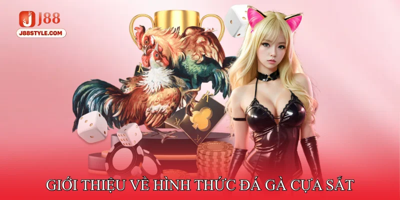 Đá Gà Cựa Sắt – Đắm Chìm Vào Những Trận Đấu Nghẹt Thở Giới thiệu về hình thức đá gà cựa sắt