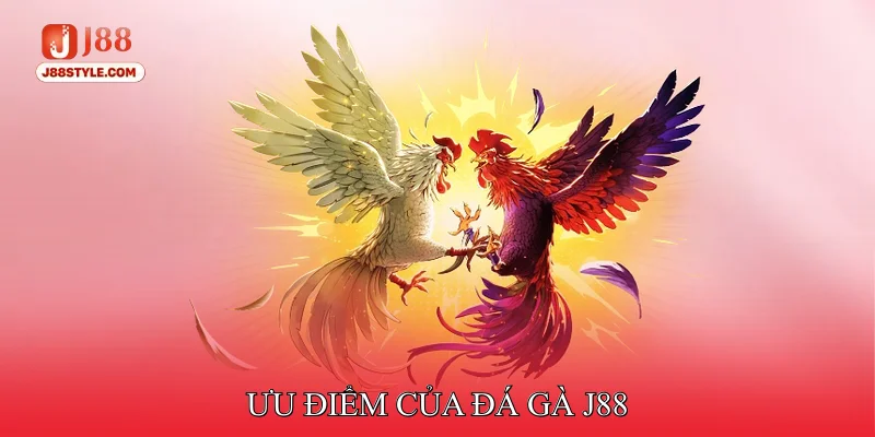 Ưu điểm của đá gà J88